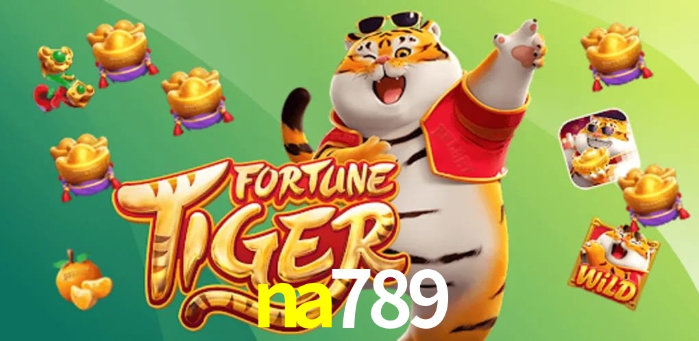 Experiência VIP na789